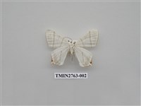 藏品(尺蛾332)的圖片